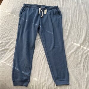 Aerie Blue Waffle Knit Joggers
